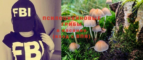 СК Абинск