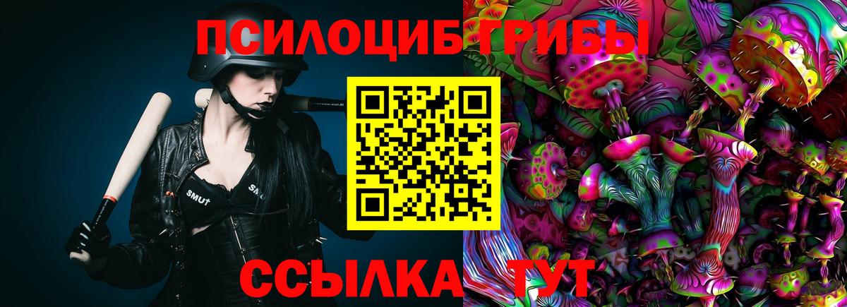 Знаменск  Псилоцибиновые грибы Psilocybine cubensis  Вход с VPN 