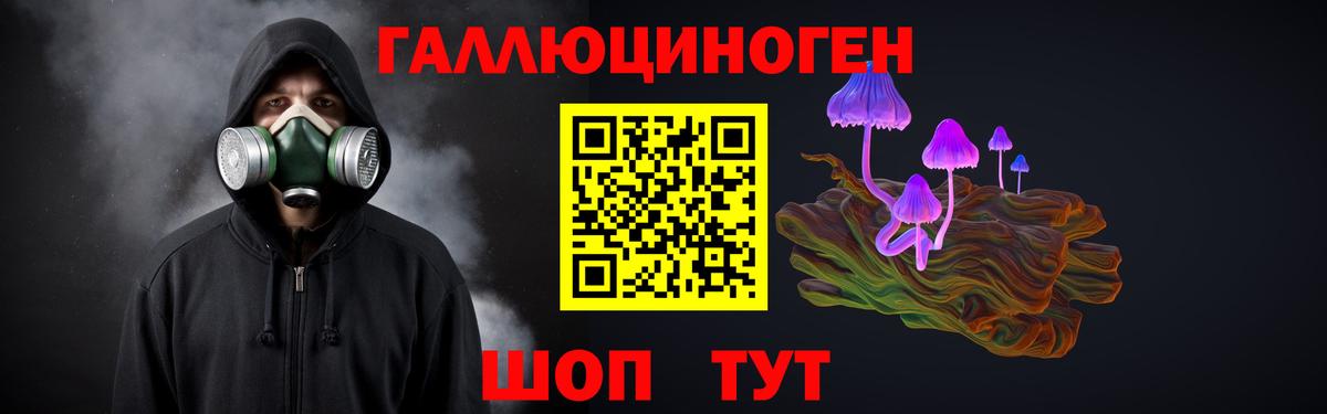Псилоцибиновые грибы GOLDEN TEACHER Знаменск